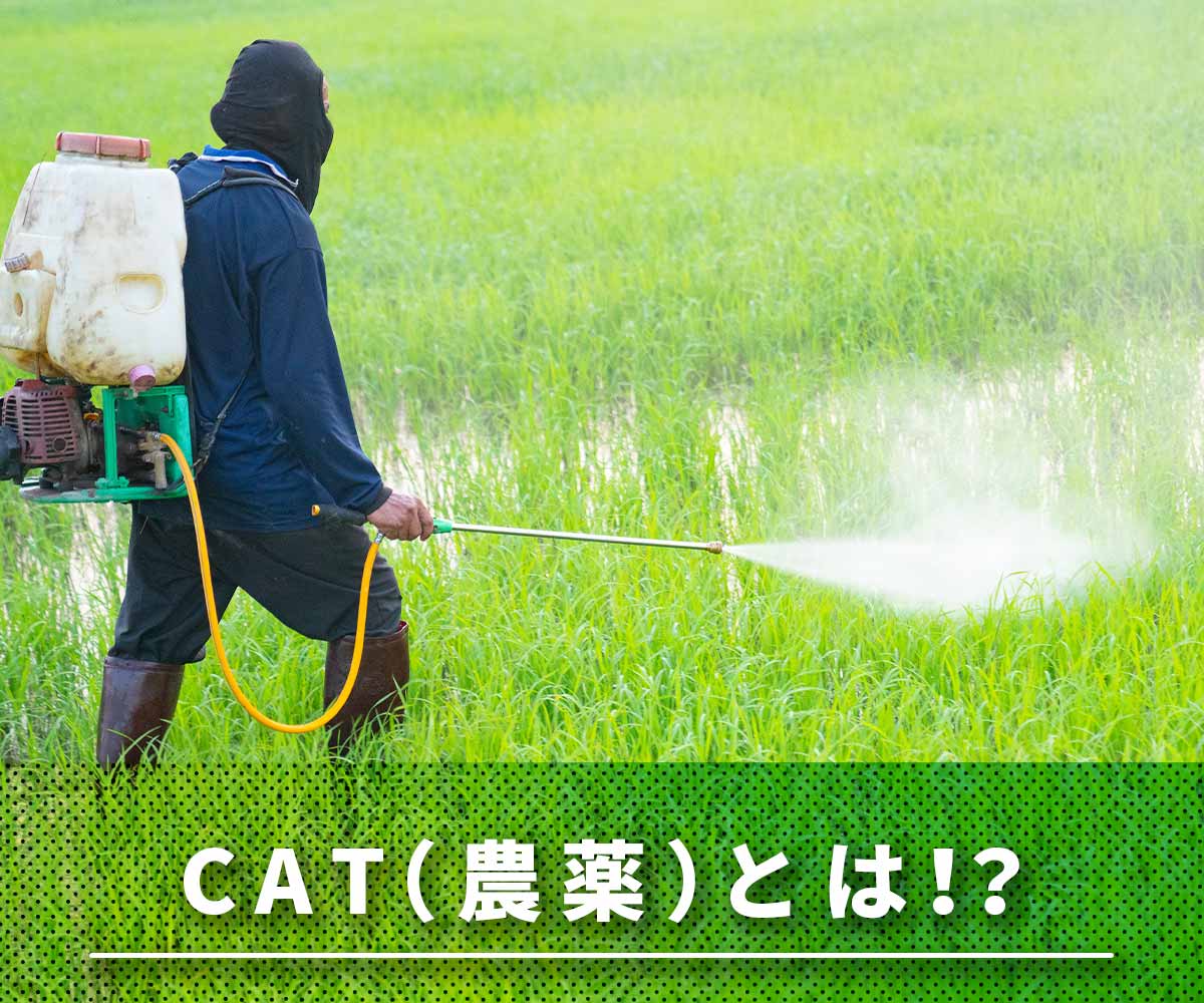 「【試験結果あり】浄水器で除去できる農薬(CAT)とは？」画像